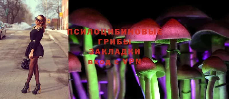 Галлюциногенные грибы Psilocybine cubensis  Минусинск 